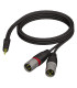 Cable XLR Macho x2 a JACK 3,5mm Estereo 3m
