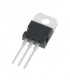 Transistor N-Mosfet 33V 62Amp 110W TO220-3  STP62NS04Z