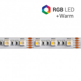 Tira LED RGB+3000K 24V 19,2W/m 60LED/m IP20 5m