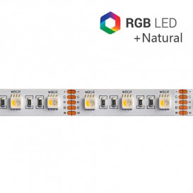 Tira LED RGB+4000K 24V 19,2W/m 60LED/m IP20 5m