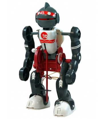 Robot Acrobata CEBEK