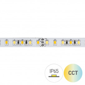 Tira LED CCT 2700-6000K 24V 16W/m 120LED/m IP65 5m