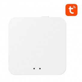 GateWay Zigbee Bluetooth a WiFi AVATTO GW02