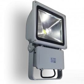 More about Foco LED 100W 6000K GRIS ULTIMA UNIDAD