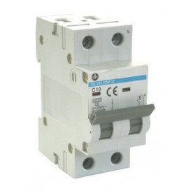 More about Interruptor Magnetotermico 1P+N 10Amp/230Vac