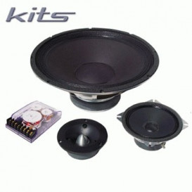 More about Kit Altavoces 12in 125W RMS 4K120 BEYMA CAR