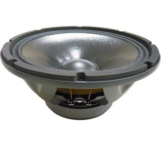 Altavoz 10" 300Waes BEYMA 10WR300